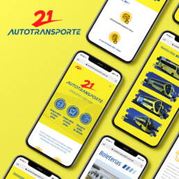 Autotransporte 21 diseño página web Minds Estudio